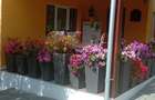Casa duplex de vanzare - 4