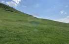 Teren 1,000mp Garcina / Strada Punct Marian