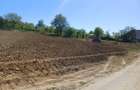 Terenul Perfect Pentru Casa Ta! Parcela de 7 Ari intr-o Zona Superba Baia Sprie, Str. Murelor - 3