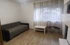 Apartament 1 camera, malul Muresului, demisol - 6