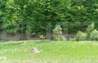 EXCLUSIVITATE! Teren extravilan, 5.400 mp, Comuna Iara, Valea Vadului - 5