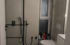 Vand Duplex Mosnita Veche - 1
