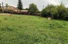 Teren Intravilan de vanzare Baicoi, zona LIiliesti - 8