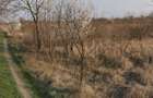 Teren Intravilan 500 mp/ Ideal de Investitie/ Zona Strada Apusului - 2