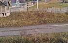 Casa lemn masiv acoperita recent + 5 anexe + teren peste 15000 mp la 46000 Euro negociabil - 6