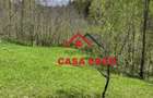 Teren extravilan in Brebu(Pietriceaua)--9104mp--50.000e - 19