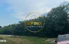 Teren intravilan 2.500 mp | Snagov | Padure I Drum asfaltat - 3
