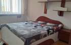 Apartament 2 camere Turnisor - 7