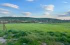 Teren 1.1 Ha Intravilan Sarca Ia?i la E85 E583 DN28 PUZ Aprobat - 3