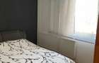 Inchiriez apartament 2 camere Brancusi, Drumul Taberei - 5