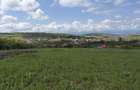 Teren 2500mp in Hamba str Florilor - 3