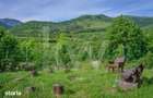 Mai mult decat spatiu: timp, liniste si confort in natura.
