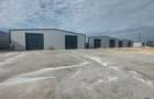 Ovidiu, parc industrial, constructie 2025, 120-1160 mp. - 1
