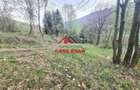 Teren intravilan in Valea Doftanei - Parajul Paltinu--1000 mp--120e