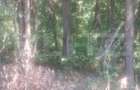 Padure de vanzare, 0,75 hectare, zona Suta Seaca
