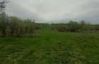 Teren sat.Vilcele com. Bretea Romana - 2