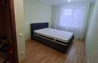 De inchiriat apartament cu 2 camere in zona Mehala - 5