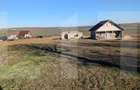 Teren intravilan de vanzare, 2000 mp, Cristesti-Botosani - 2
