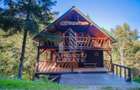 Pensiune, casa de vacanta, 6 camere, statiunea Rausor din Hunedoara - 22