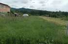 Teren intravilan de vanzare-Bujoreni - 3