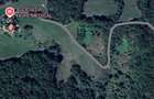 Teren extravilan ?erani Borod Bihor 2,5 ha - 1
