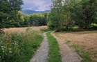 Teren intravilan in Zona Plaiul Lisei, in suprafata de 7000 mp. - 5