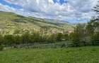 Teren intravilan 1200mp Tesila ~Valea Doftanei 0735.131.492