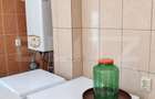 Casa 3 camere, 110 mp, 3.600 mp, teren, zona Teis