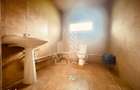 Casa potential turistic si comercial -zona Varfurile - 14
