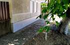 Casa + Curte + Teren arabil generos, Nerau, Teremia Mare, 1596 mp, locuibila imediat - 7
