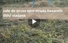 Gradina/ teren intravilan Micesti
