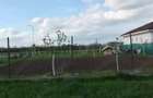 Vand teren intravilan - 4