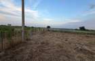 Teren de 490 mp, în Câmpineanca - 2
