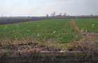 Teren intravilan de vanzare - 6