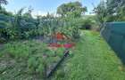 Casa in Brebu--170.000e - 14