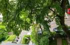 Vand apartament cu 2 camere la Victoriei - 3