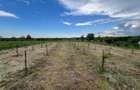🏡 CASĂ + TEREN INTRAVILAN 4.971 MP – URECHEȘTI, VRANCEA - 21