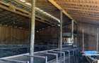 Ferma zootehnica / stana pentru oi si vaci teren 10.000 mp - Maneciu-Pamanteni