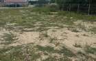 TEREN DE INCHIRIAT Nicolae Balcescu, Jud. Bacau -5.000 MP