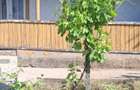 Casa cu teren de 1.470 mp de vanzare Fantanele, Scanteie?ti