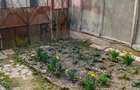 Apartament cu 2 camere in curte comuna - str. Ana Ipatescu - 1