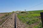 GRADISTEA - Sat Sitaru, teren agricol 11.961mp, ideal investitie - 3