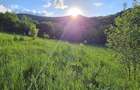 Teren de vanzare Valisoara, Alba - 1
