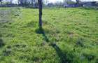 Teren intravilan de vanzare in Hezeris - 1810 mp, front stradal generos