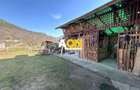 Casa de vanzare pretabila 2 familii, garaj, livada, comuna Pianu