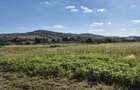 Teren intravilan - 650 mp - Tomesti Vale - 6