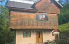 Casa de vacanta cu 5 camere,Garda de Sus,Arieseni,Alba,Gaminvest,V4288 - 14