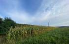 Teren intravilan de vanzare - Patrauti, Suceava - 4