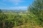 Vand cabana din lemn in zona de vis - 3