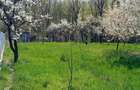 Casa de vanzare in Jud. Arges. - 3